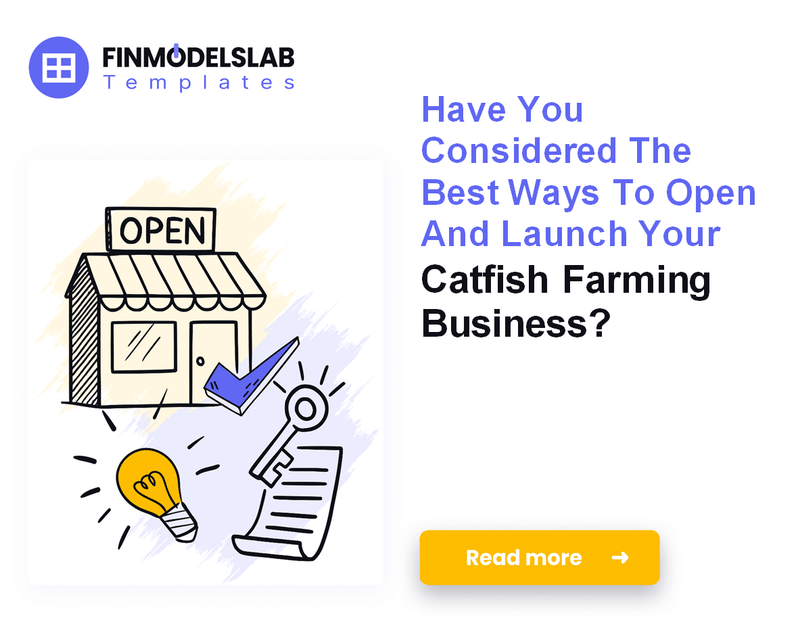 How to Launch a Profitable Catfish Farming Business