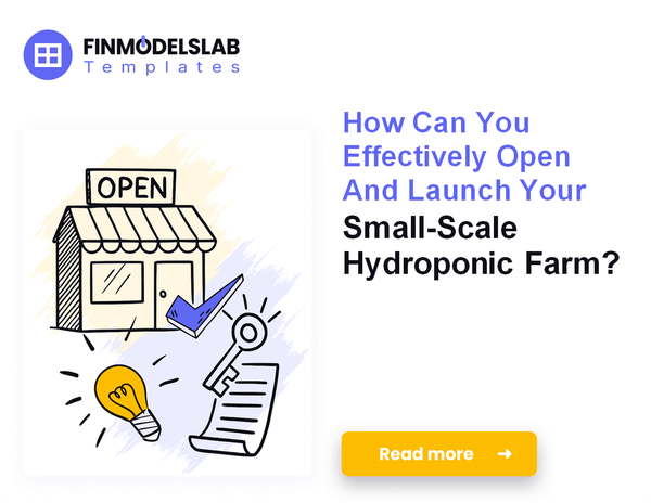 How to Launch a Small-Scale Hydroponic Farm: 7 Steps to Funding