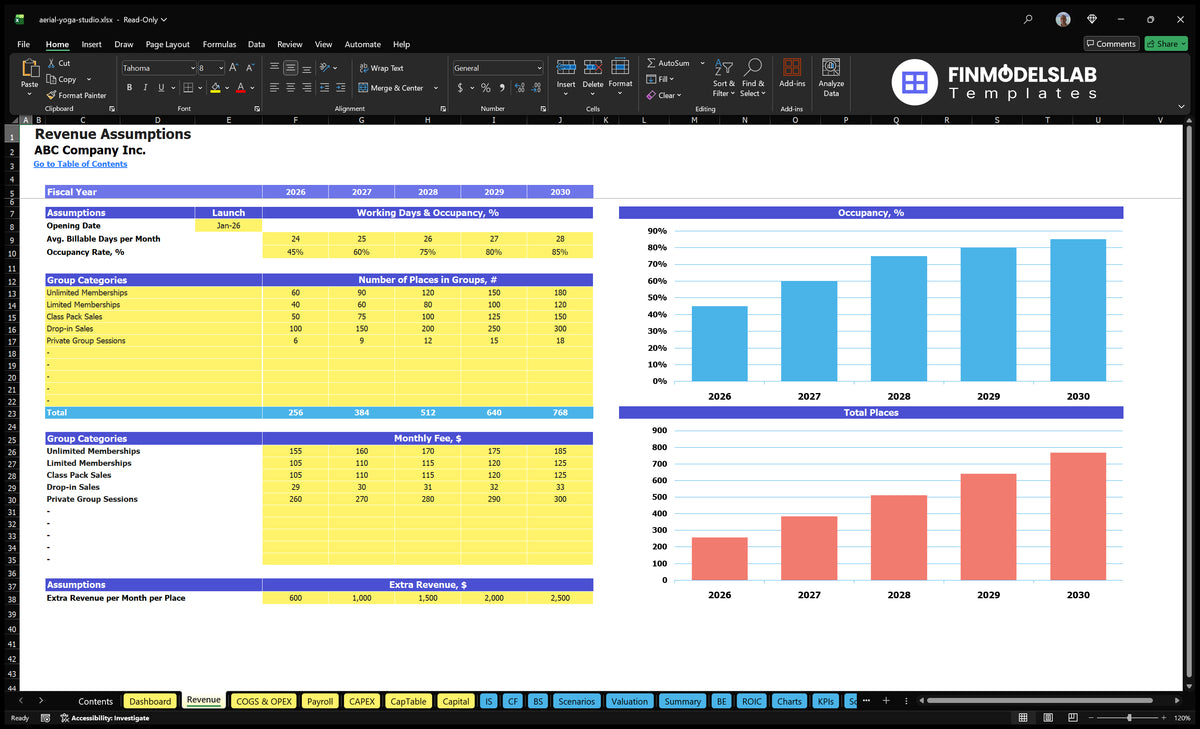 Aerial Yoga Studio Financial Model Revenue Formation of a sheet with a start date, a start date, a bet, group places, monthly fees, additional revenue and a cover chart