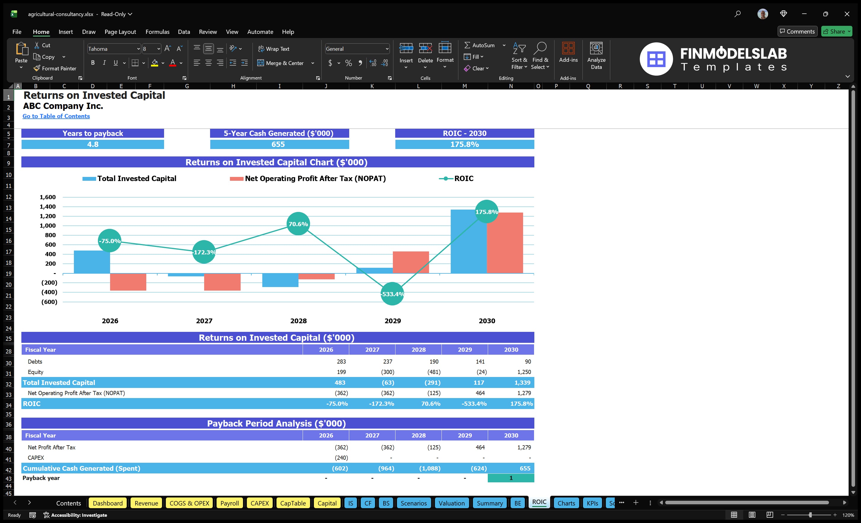 agricultural consultancy financial model roic financialmodelslab