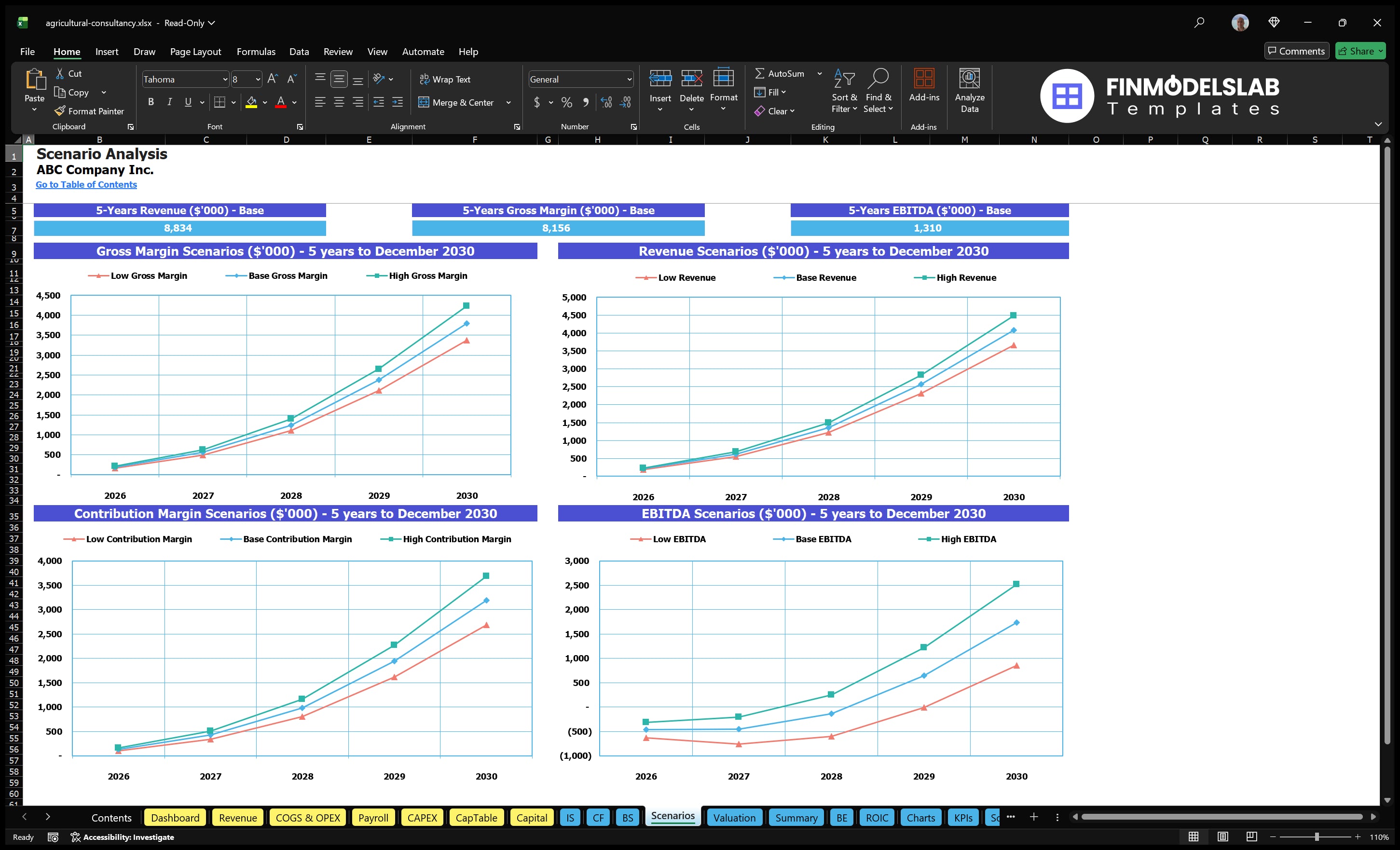 agricultural consultancy financial model scenarios financialmodelslab