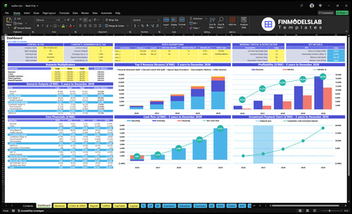 auditor financial model dashboard financialmodelslab