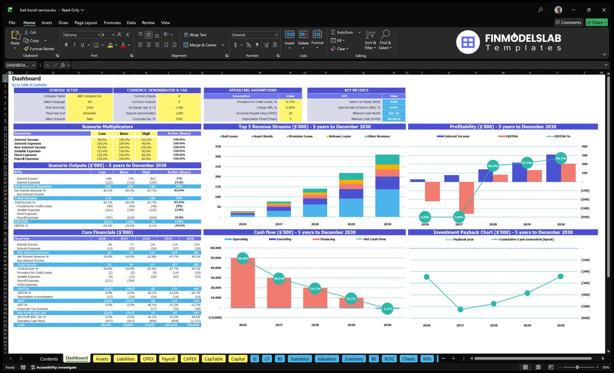 Dashboard showing model setting, scenario multipliers, key metrics, revenue flows, profitability, basic financial data, cash flow and repayments.