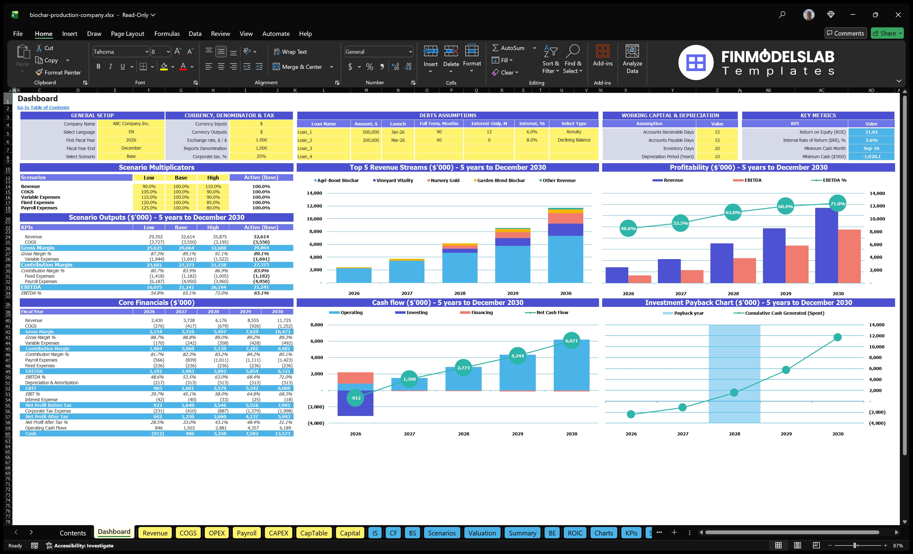 Biochar Production Financial Model Dashboard with configuration control, scenario results, main financial tables, revenue mix, profitability, cash flow and return charts