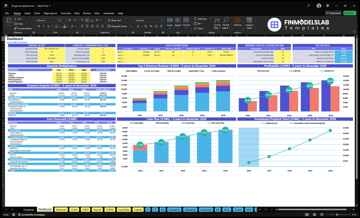 Production biogas table showing general settings, scenario multipliers, basic finances, revenue mix, profitability, cash flow, return and key metrics.
