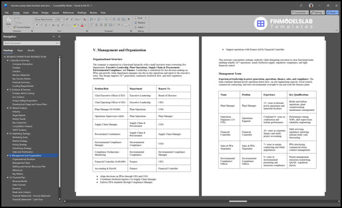 biomass power plant business plan management financialmodelslab