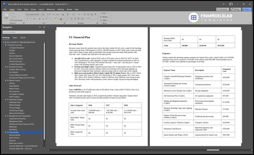 black soldier fly farm business plan financial plan financialmodelslab