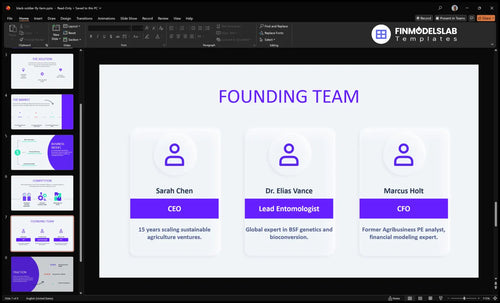 black soldier fly farm team slide financialmodelslab