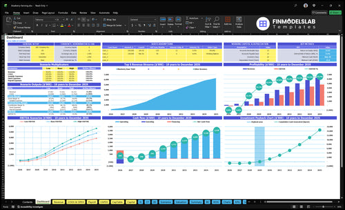 Blueberry Farming Financial Model dashboard summarizing key KPIs, runway/cash and performance with a dynamic dashboard, investor-ready visuals and cash-flow clarity to avoid blind spots