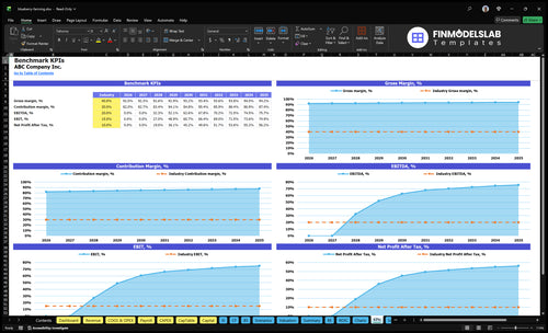 blueberry farming financial model kpis financialmodelslab