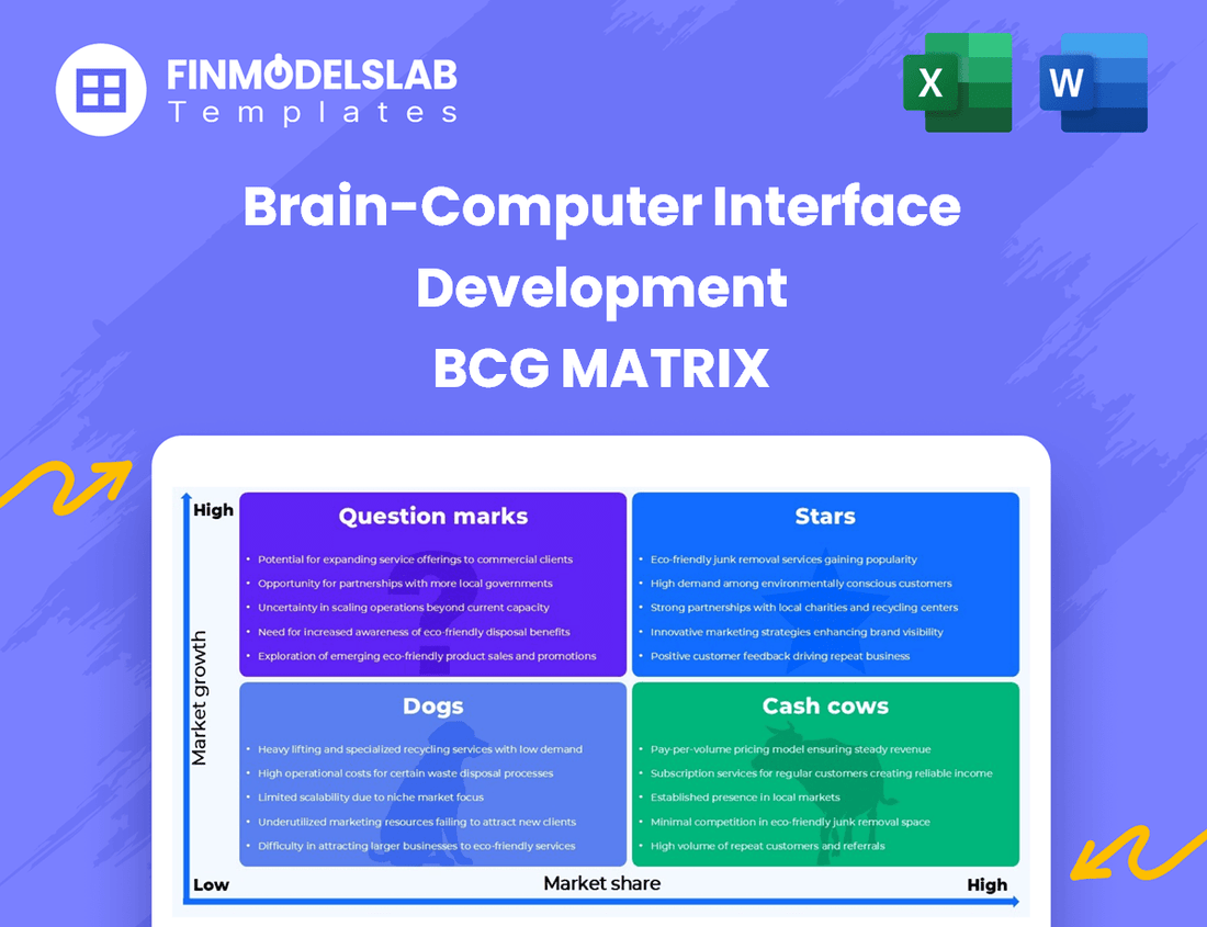Brain-Computer Interface Development BCG Matrix
