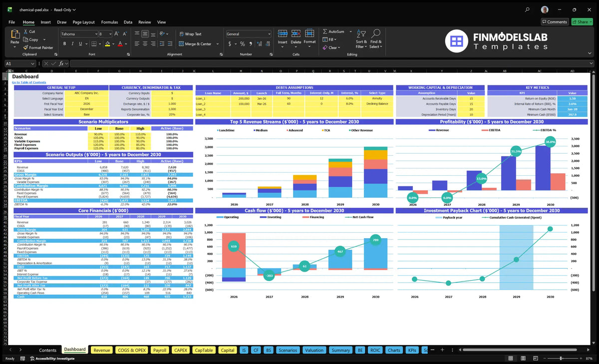 Dashboard Chemical Peel Treatment Spa showing configuration controls, scenarios multipliers, debt and working capital contribution, basic financial data, mix of revenue, profitability, cash flow and payback period charts