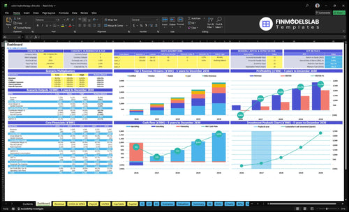 Colon Hydrotherapy Clinic Financial Model dashboard summarizing key KPIs, runway, cash position and performance with a dynamic dashboard, investor-ready charts and clarity for cash-flow blind spots