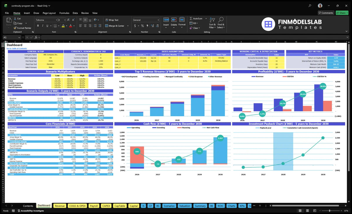 Table with general data, scenario multipliers, revenue mix, profitability, basic finances, cash flow, key metrics, debt assumptions and return.