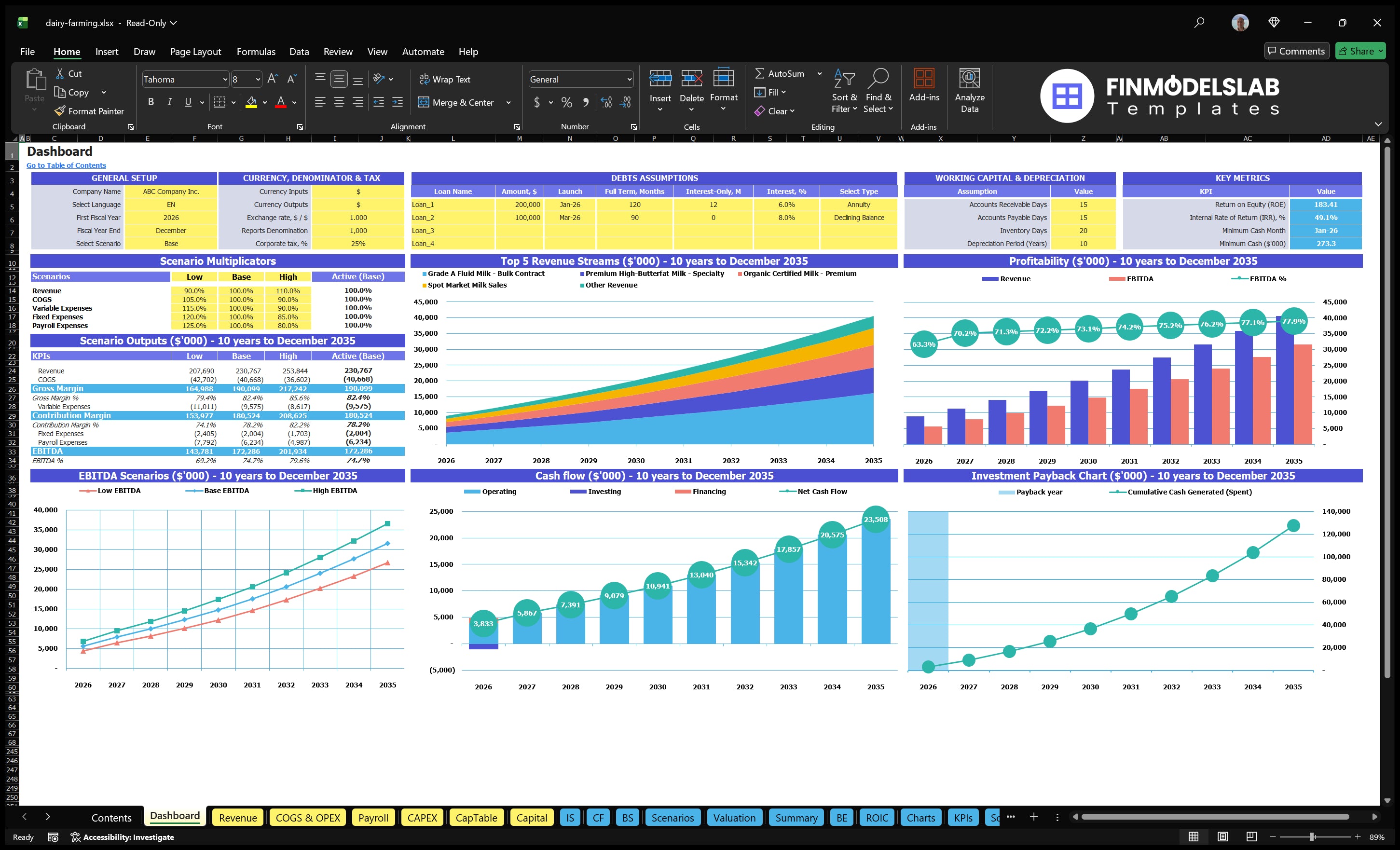 Worksheet dashboard showing the global setting, the assumptions for debt, scenario multipliers, KPIs, the mix of revenue, profitability, cash flow and payback period charts.