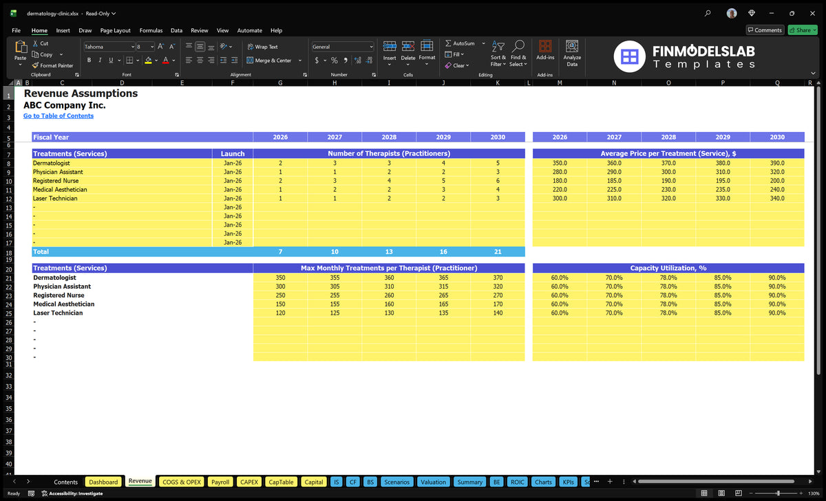 Worksheet setting up the revenue financial model of a dermatology clinic with number of practitioners, capacity to treat, use and prices of services
