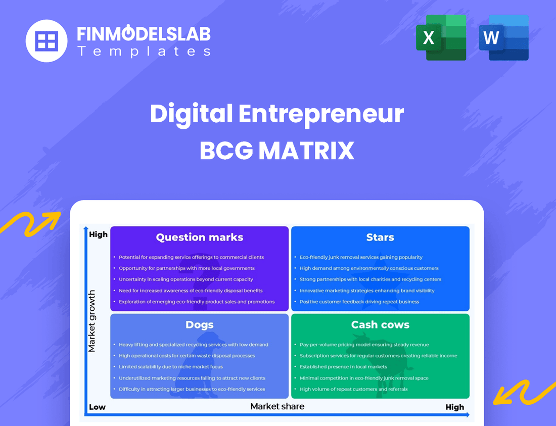 Digital Entrepreneur BCG Matrix