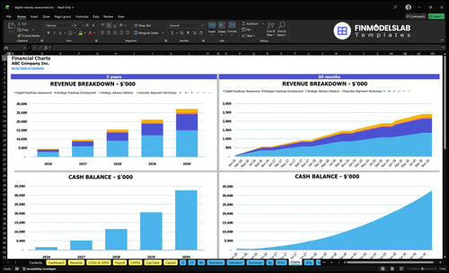 digital maturity assessment financial model charts financialmodelslab