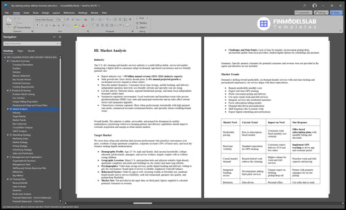 dry cleaning pickup delivery business plan marketing analysis financialmodelslab