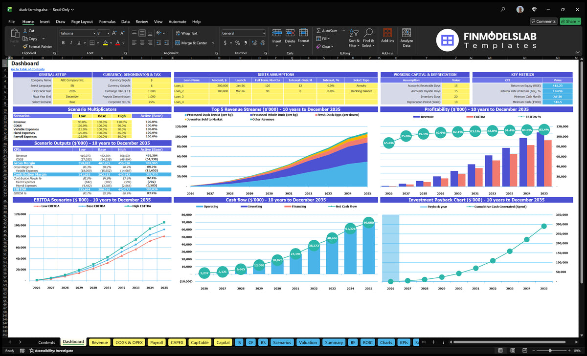 The audit team's Worksheet showing scenario multipliers, assumptions on financing and working capital, KPIs, mix of revenue, profitability, cash flow and payback period charts