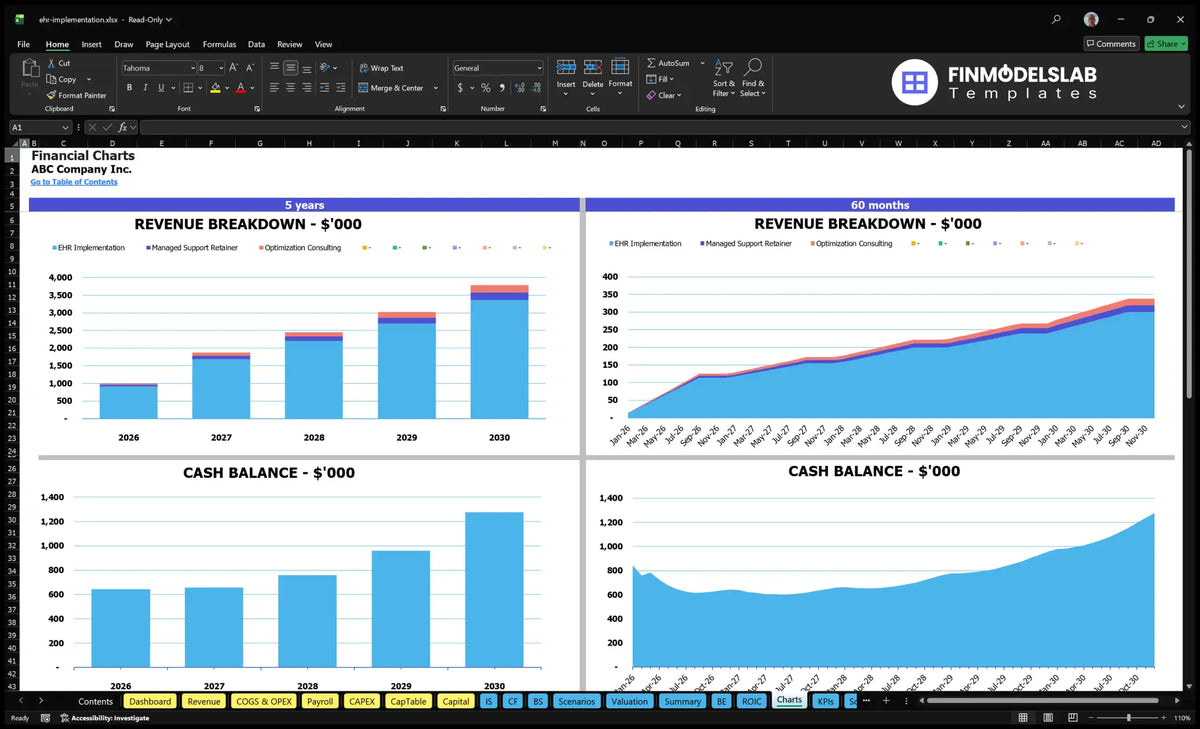 Ehr Implementation Financial Model Template (Excel)