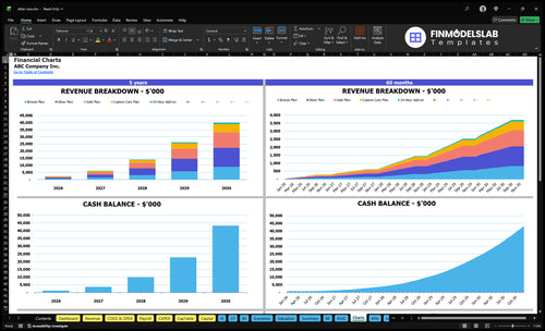 elder care financial model charts financialmodelslab