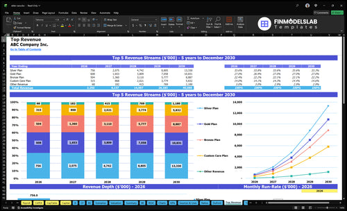 elder care financial model top revenue financialmodelslab