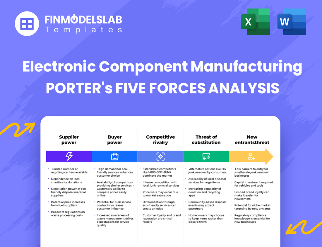 Electronic Component Manufacturing Porter