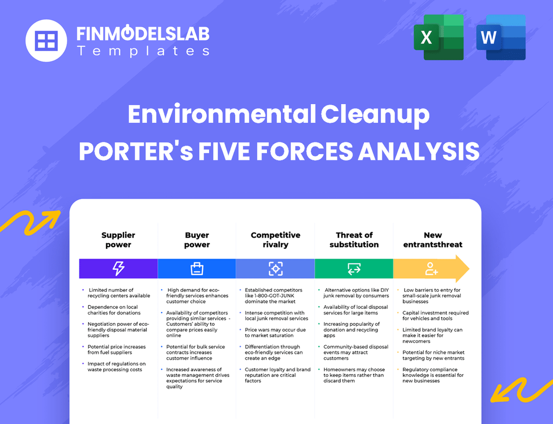 Environmental Cleanup Porter