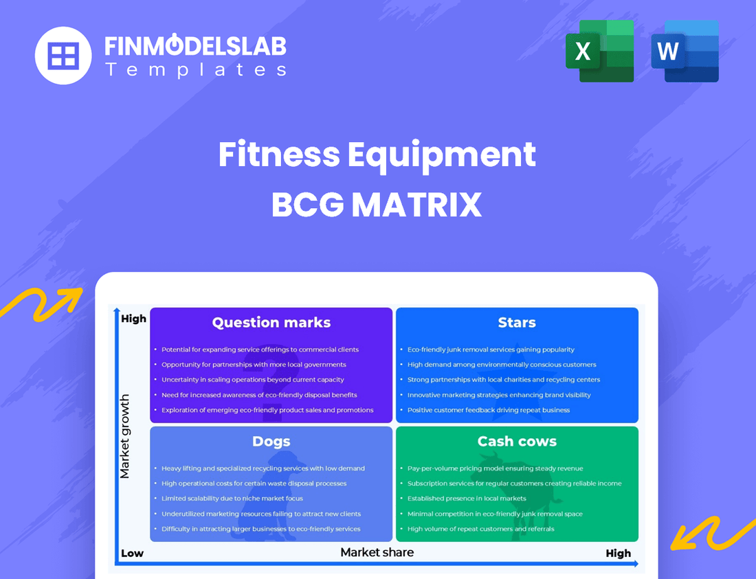 Fitness Equipment BCG Matrix