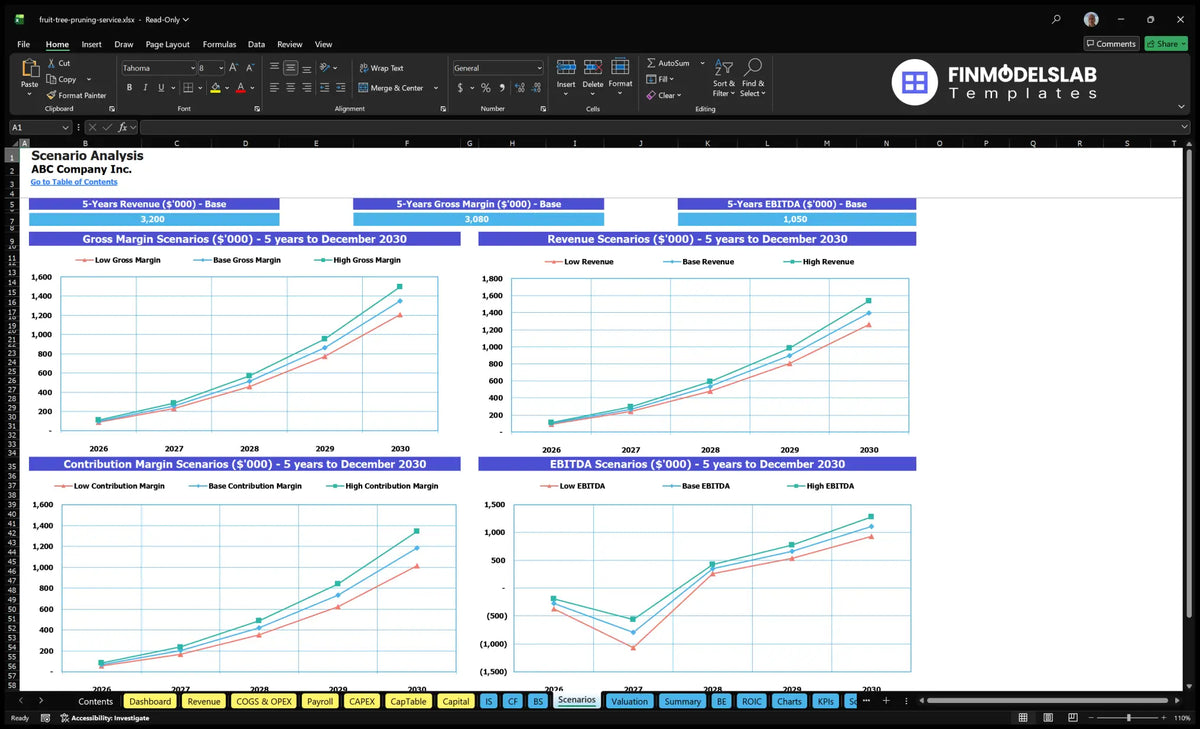 Calculation sheet for the scenario analysis of the fruit tree laundry service comparing low, underlying and high revenues and margins