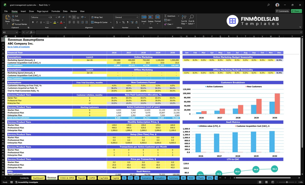 spreadsheet assumptions for revenue of grant management software including marketing, client hub, mix of plans, subscription price, usage fees and SaaS charts