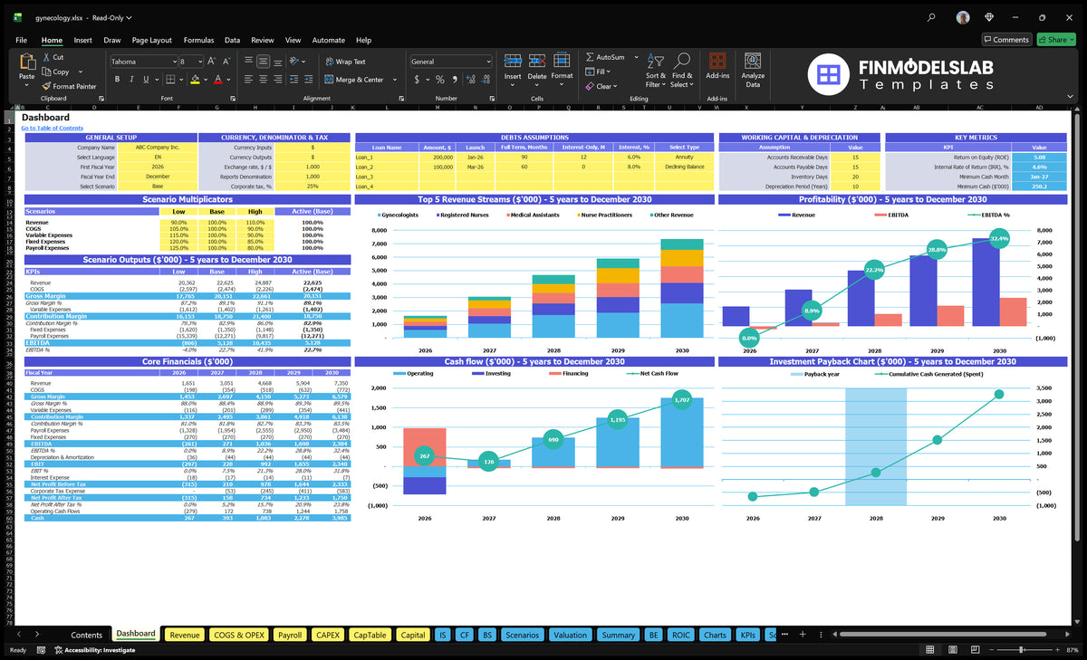 Gynaecological clinic records showing configuration controls, scenario results, mix of revenue, profitability, cash flow, key indicators and return charts