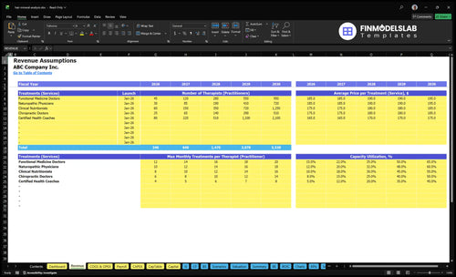 hair mineral analysis financial model revenue financialmodelslab