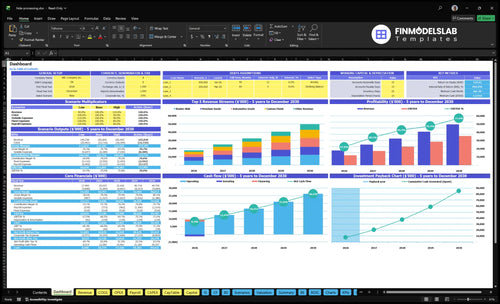 Animal Hide Processing Service Financial Model dashboard summarizing key KPIs, runway/cash and overall performance with a dynamic dashboard for investor-ready reporting and visibility into cash-flow blind spots