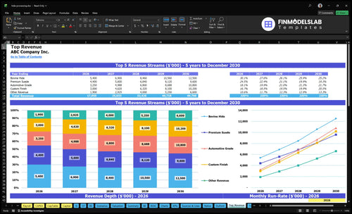 hide processing financial model top revenue financialmodelslab
