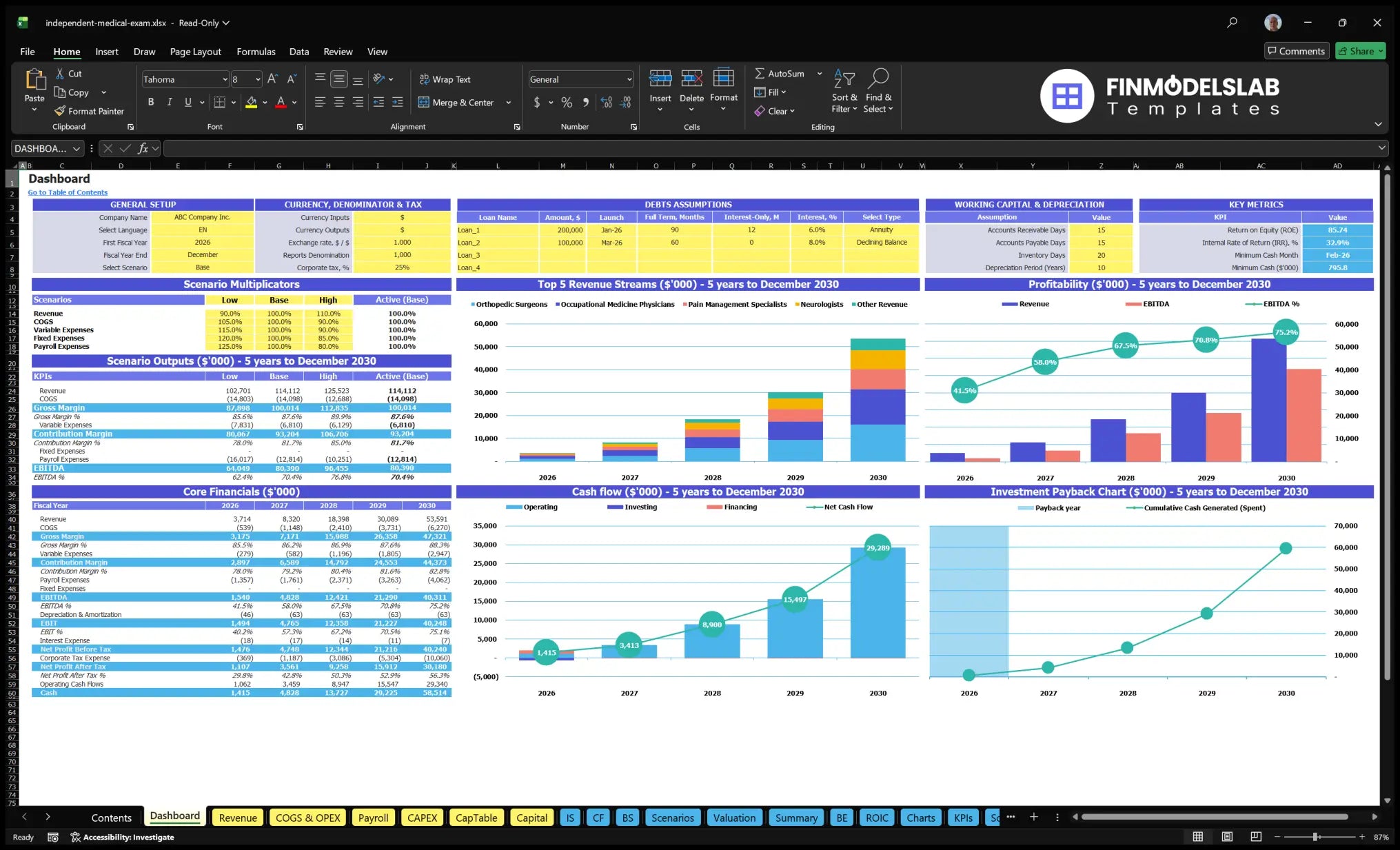 Table of data for Independent Medical Examination Service Financial Model showing model settings, scenario multipliers, KPIs, financial results, revenue mix, profitability, cash flow and return charts.