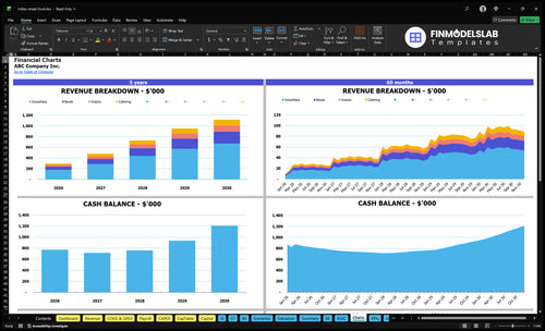 indian street food financial model charts financialmodelslab