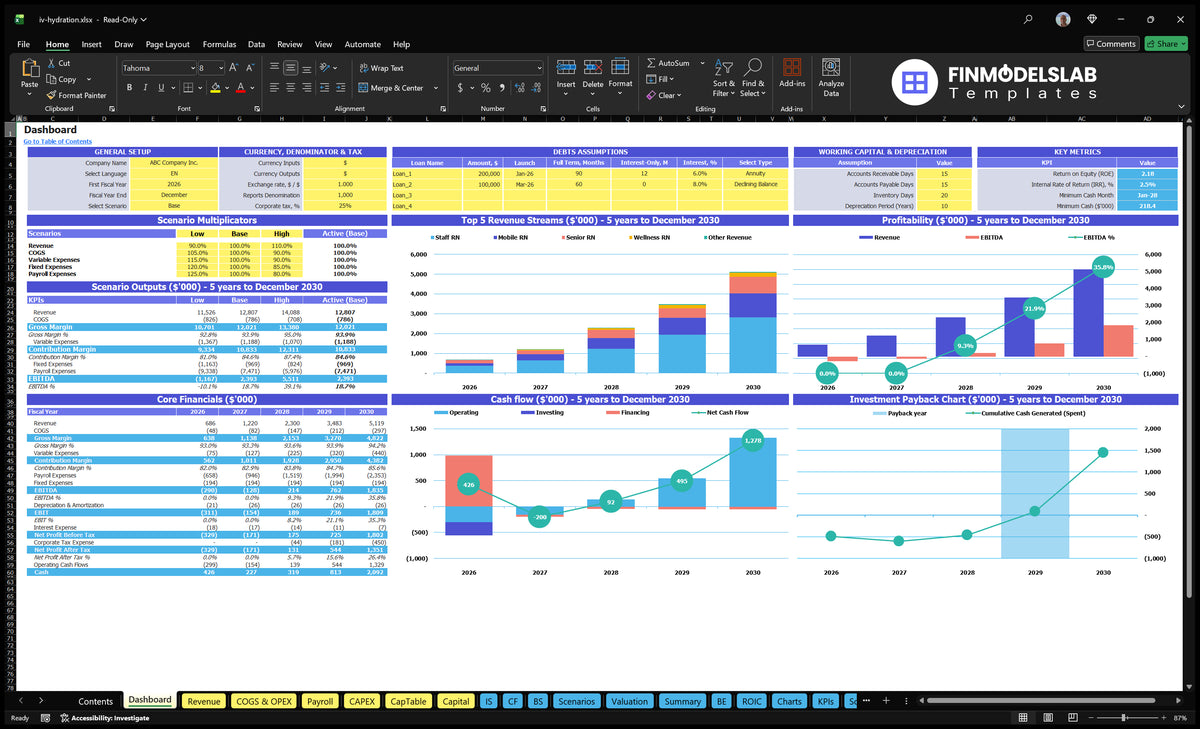 IV Disposable table on hydrotherapy showing the general setting, scenario multipliers, basic finances, mix of revenue, profitability, cash flow and return on investment charts