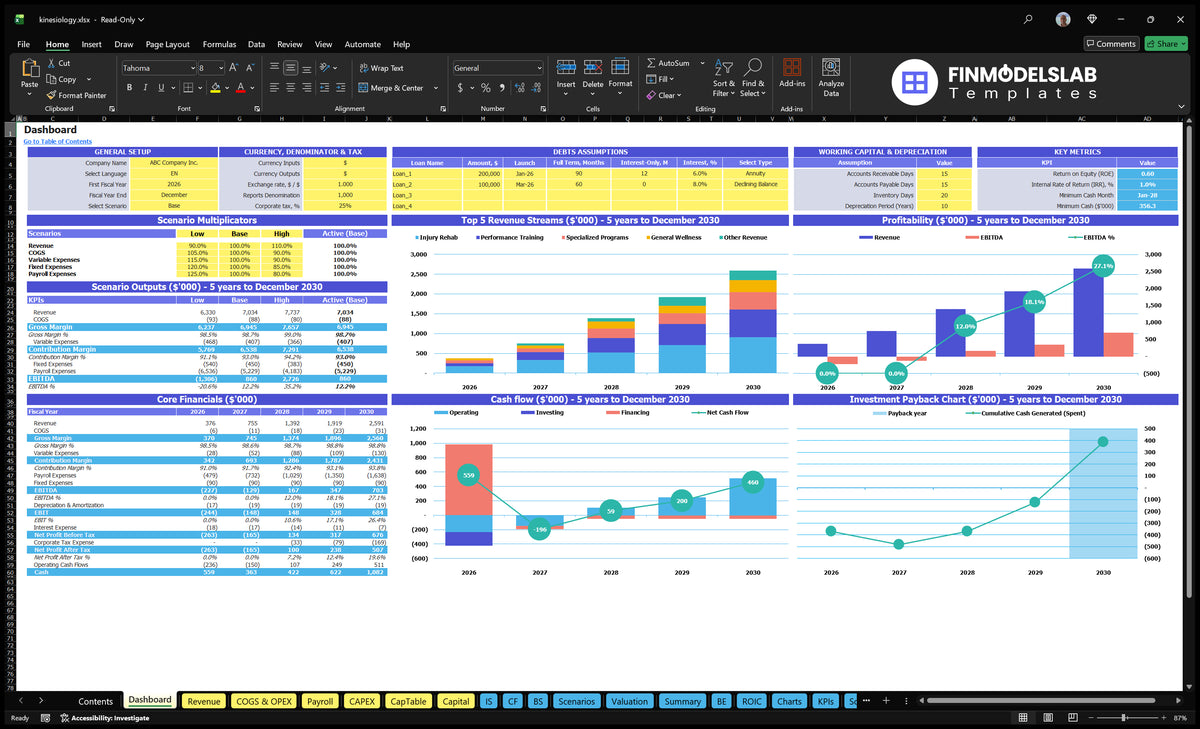 Kinesiologia Practice Desktop navigation with multiple scenarios, basic financial data, a mix of revenue, profitability, cash flow and return on investment
