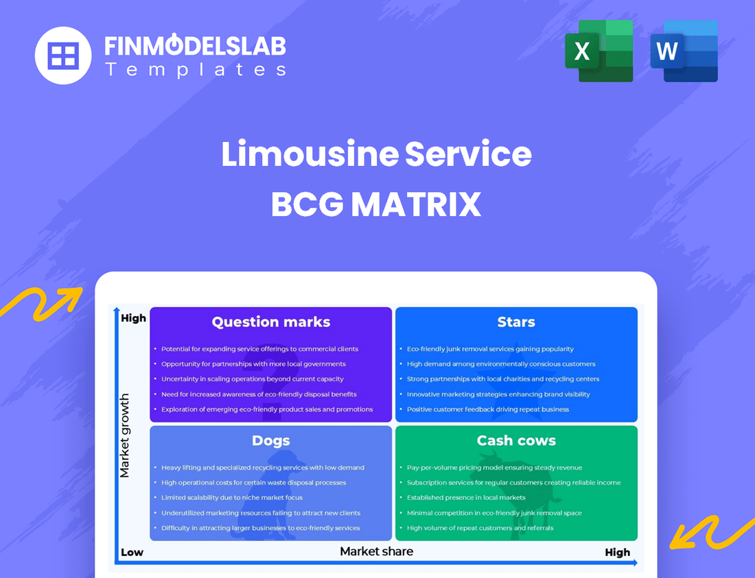 Limousine Service BCG Matrix