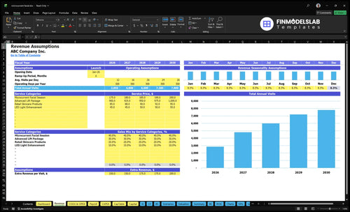 microcurrent facial financial model revenue financialmodelslab