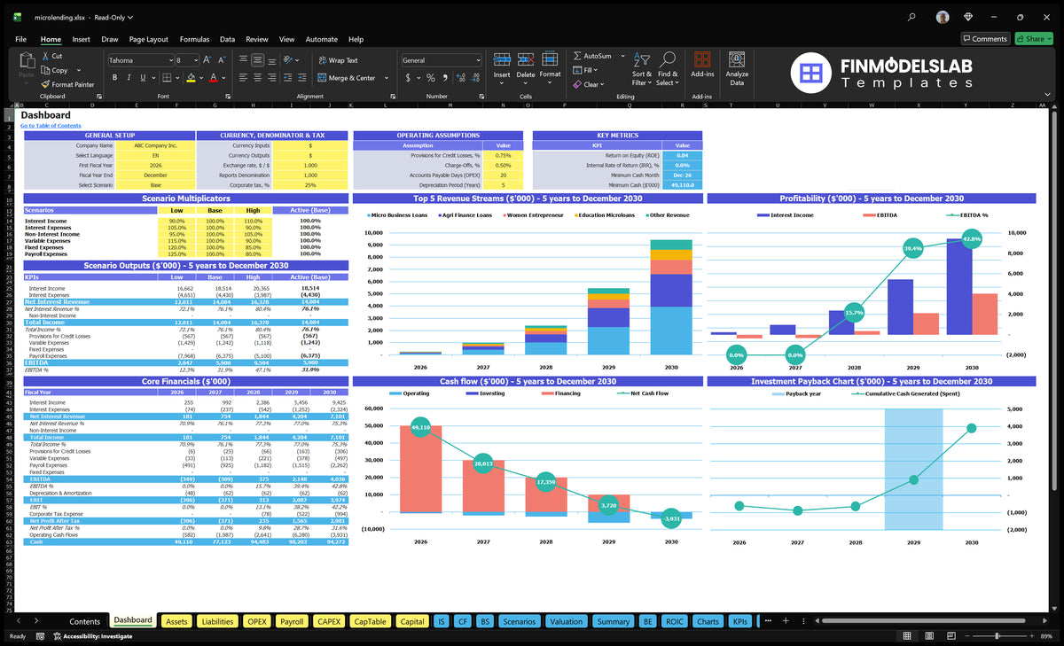 Microcredits Table showing settings, multipliers scenarios and results, basic finances, revenue mix, profitability, cash flow and returns charts
