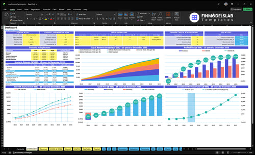 Mushroom Farming Financial Model dashboard summarizes key KPIs, runway/cash and performance with a dynamic dashboard, highlighting cash-flow blind spots and investor-ready charts for presentations.