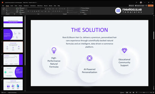 natural hair products e commerce solution slide financialmodelslab