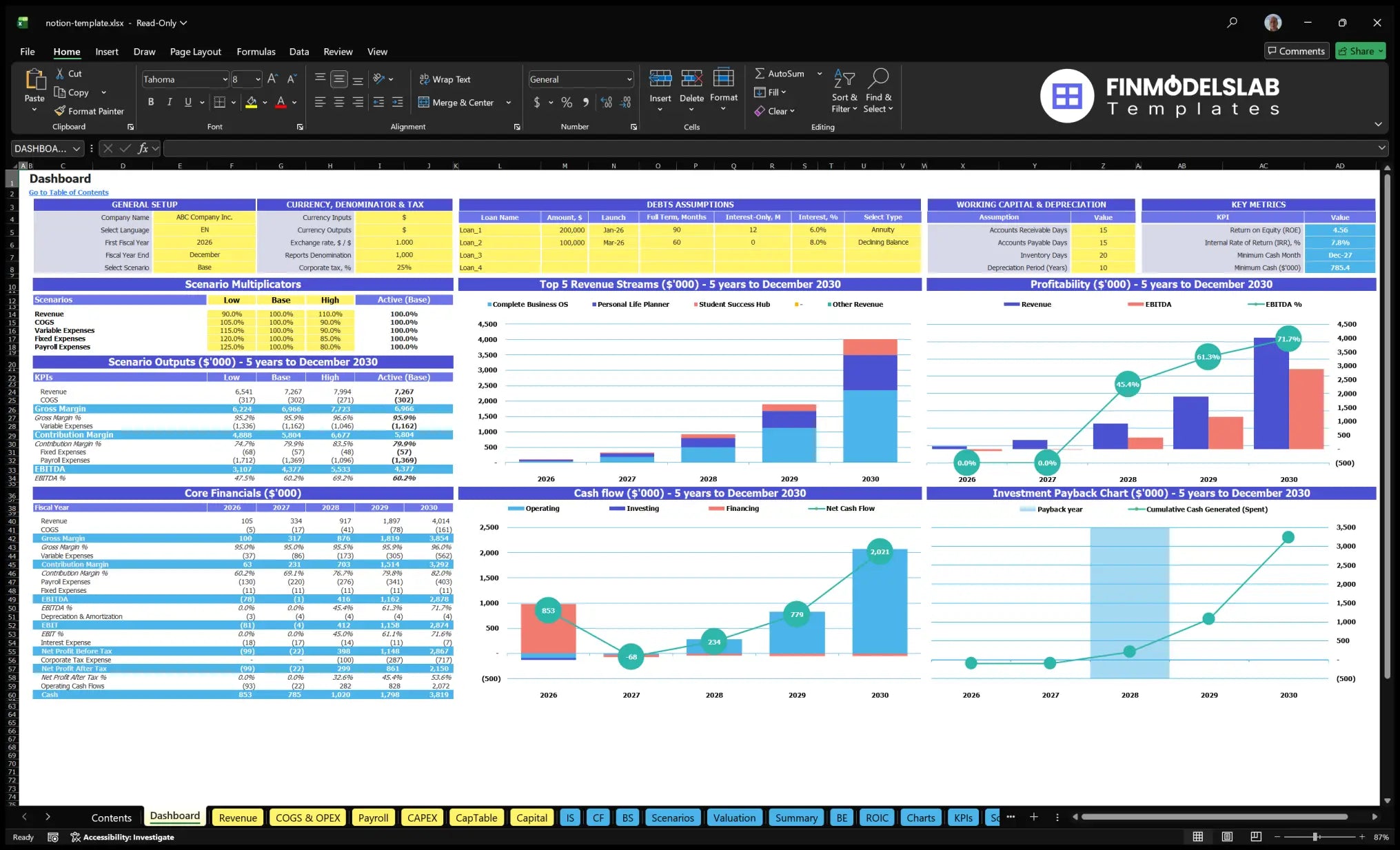 Market data table Notion Financial model showing configuration controls, scenarios, revenue mix, profitability, cash flow, basic finance and investment indicators