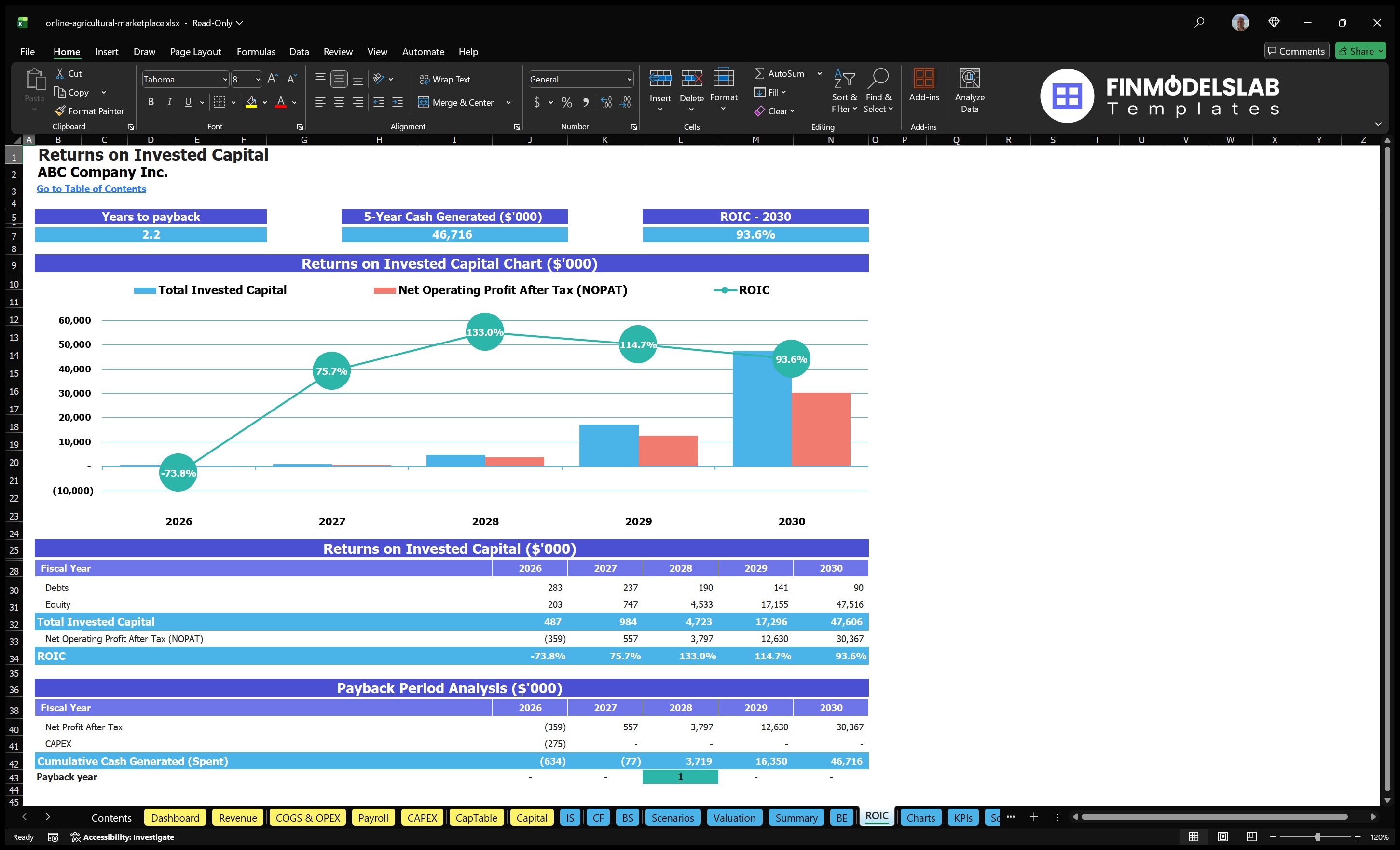 online agricultural marketplace financial model roic financialmodelslab