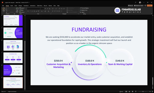 organic skin care fundraising slide financialmodelslab