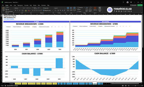 palliative care financial model charts financialmodelslab