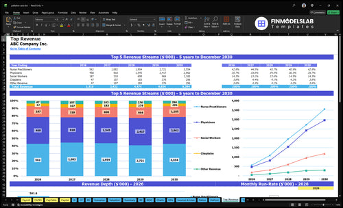 palliative care financial model top revenue financialmodelslab